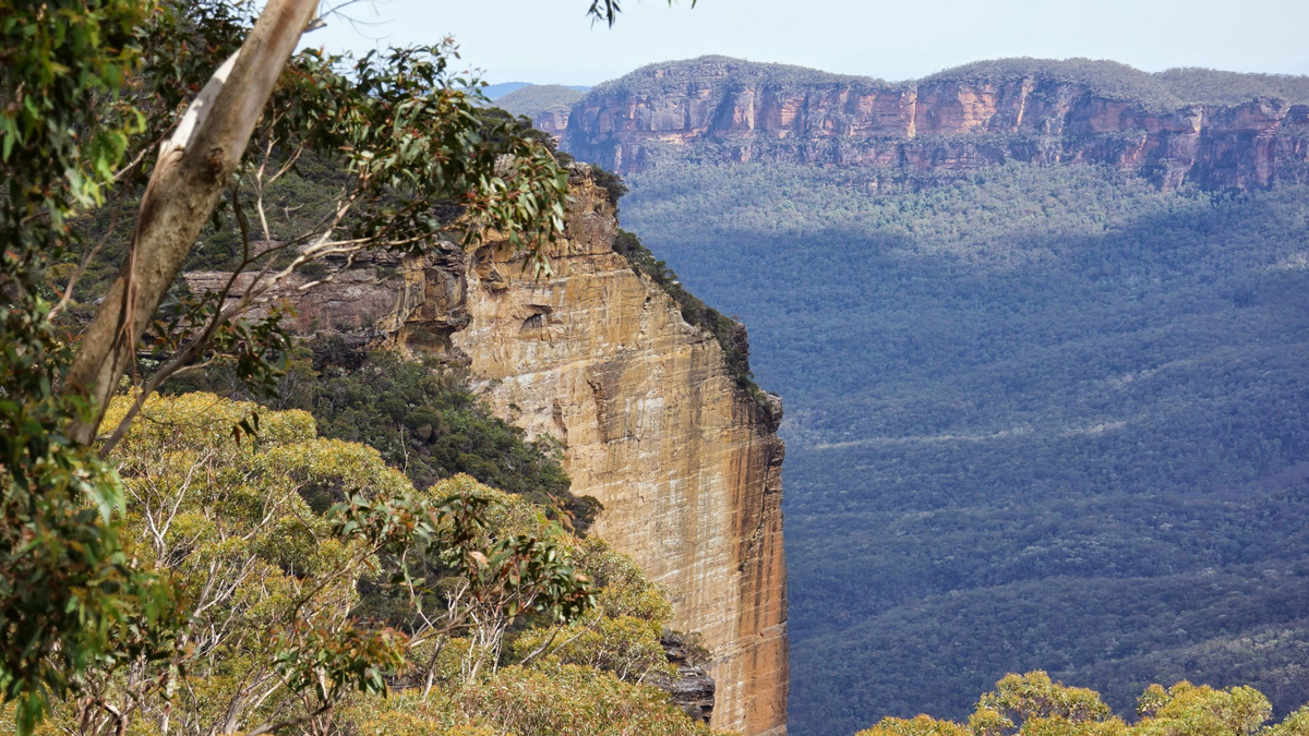 Blue Mountains and Sydney Private Tour