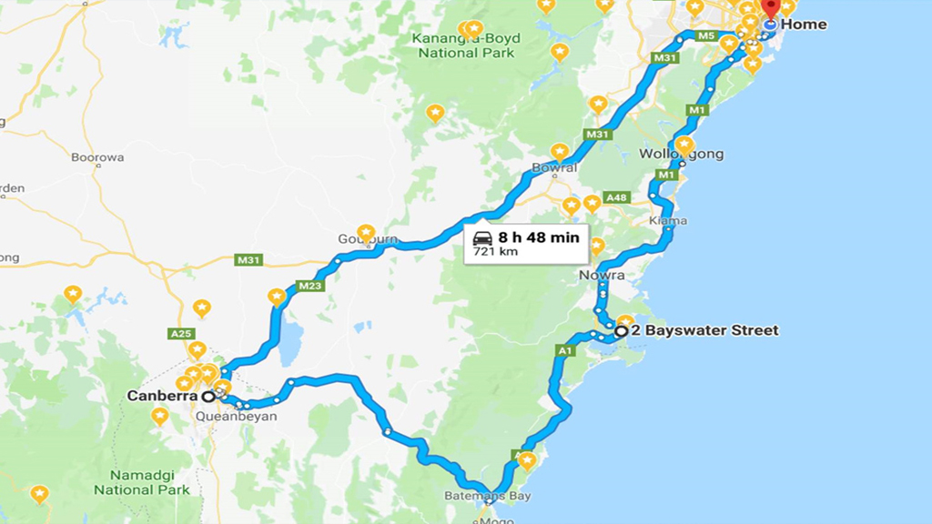 Дикие кенгуру на белом песке Pebbly Beach