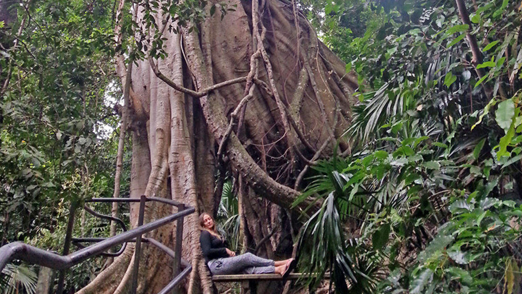 Знаменитое водяное жерло Kiama Blowhole