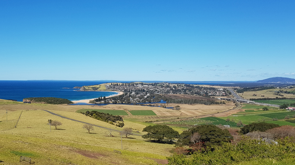 Дикие кенгуру на пляже Pebbly Beach
