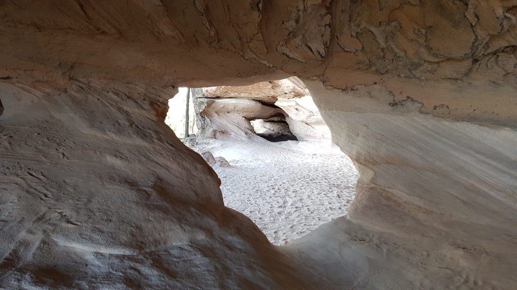 Винодельня в Orange