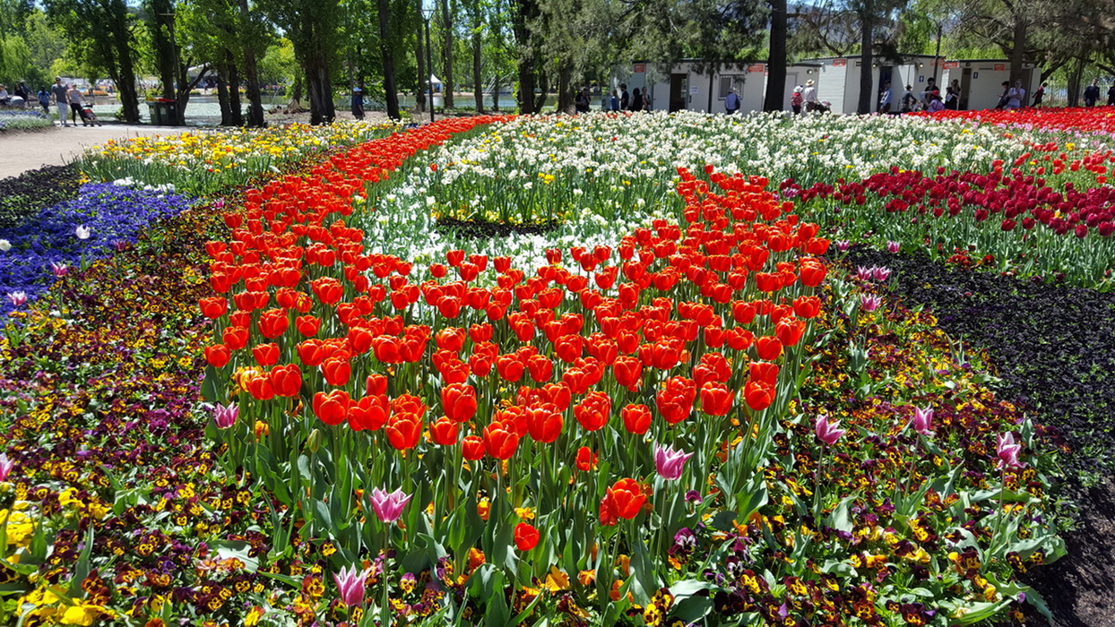 Живописный вид на озеро Джиндабайн
