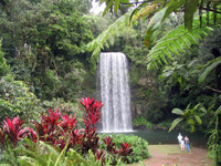 Водопад Мила-Мила Millaa Millaa Falls