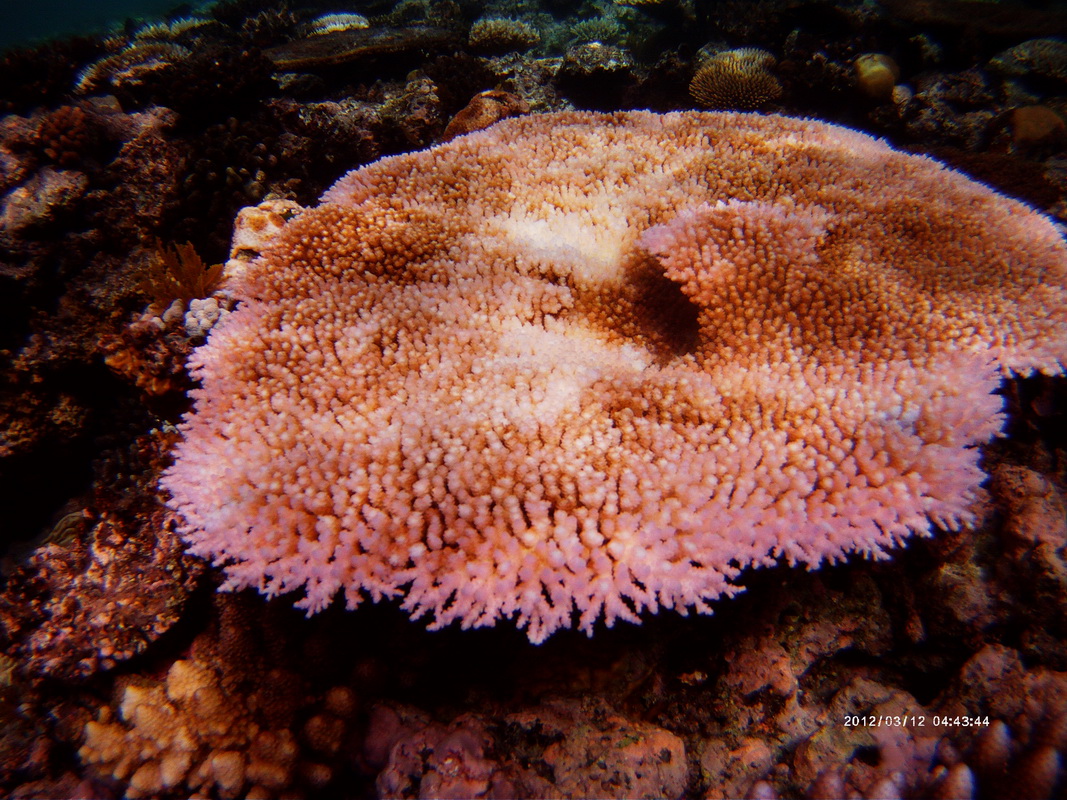 Счастливые туристы