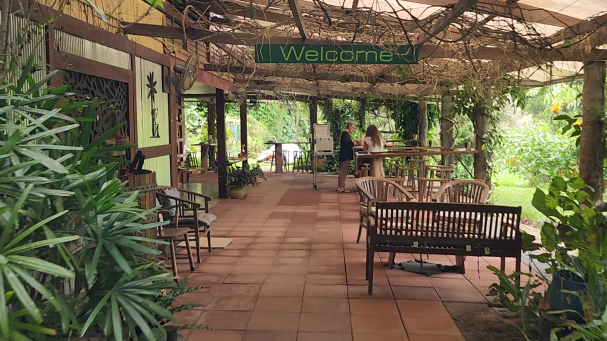 Посещение кофейной или шоколадной плантации. Дегустация.