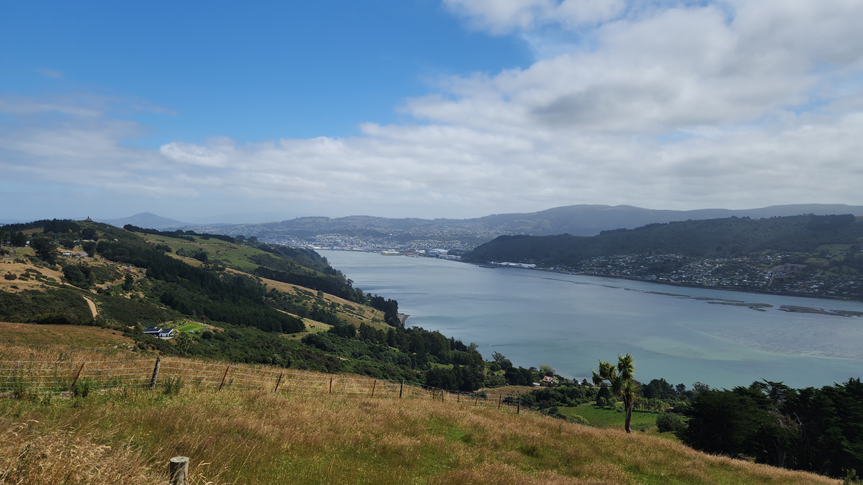Живописный вид на залив Отаго и зеленые холмы полуострова