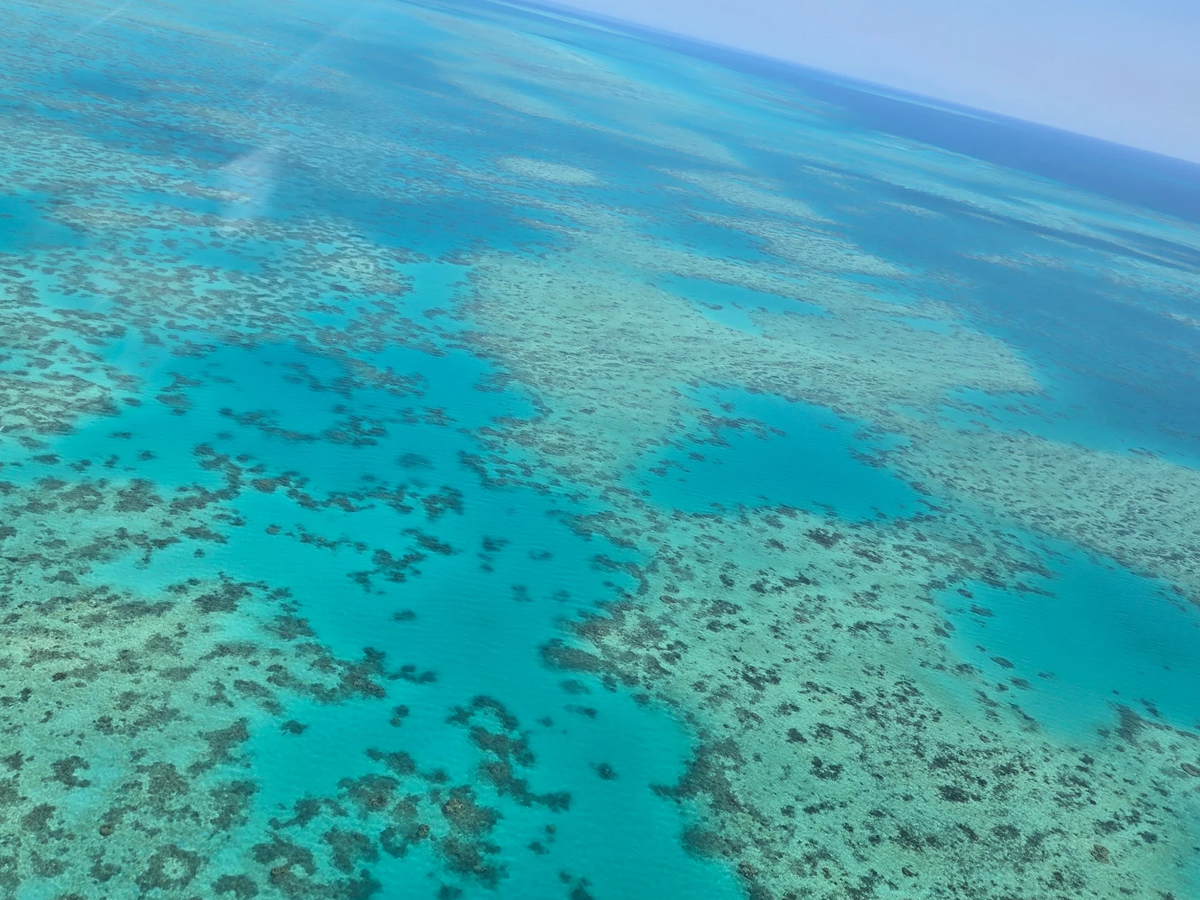 Полет над рифом