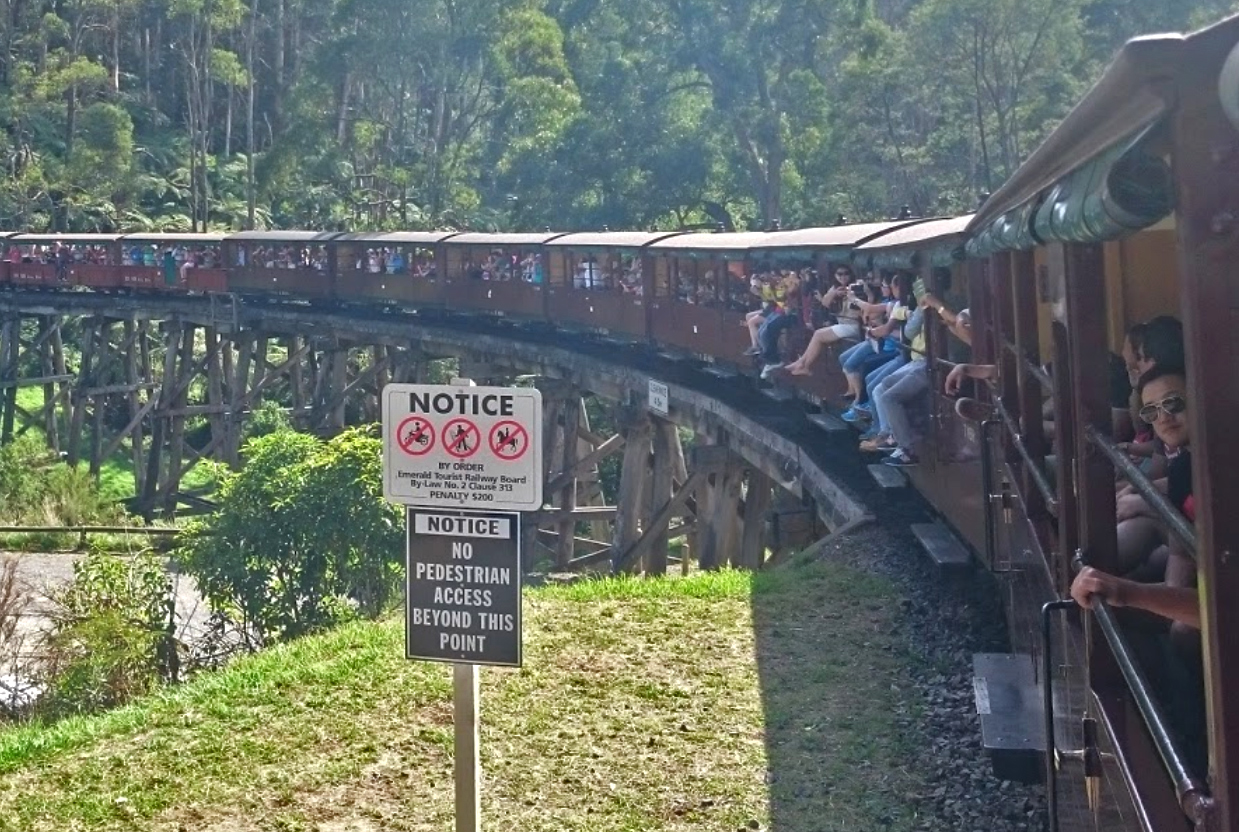 Puffing Billy Private Tour with Healesville zoo