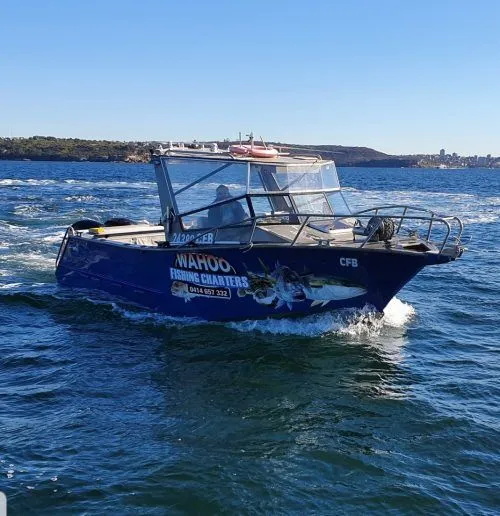 Рыболовная лодка Point 28ft