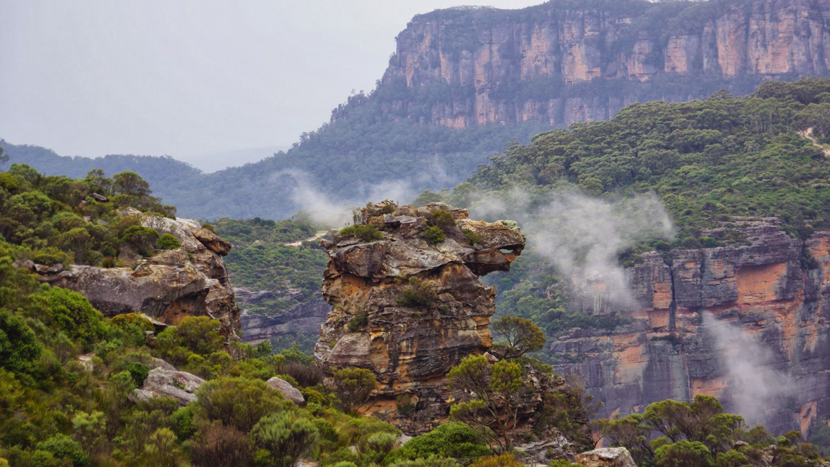 Blue Mountains and Jenolan Caves Private Tour