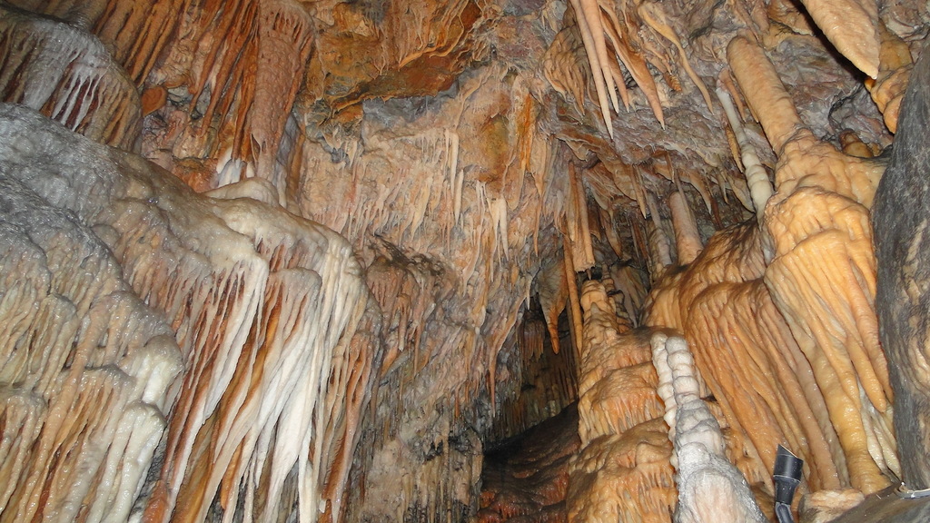 Wombeyan Caves Private Tour