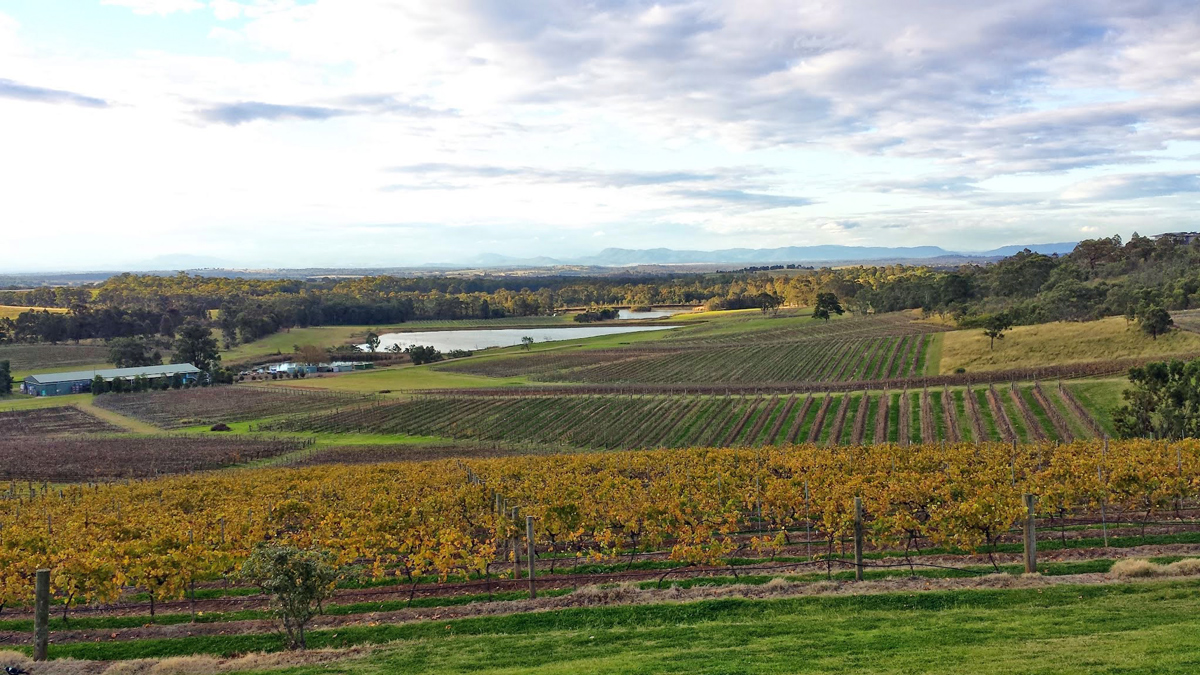 Hunter Valley Private Tour