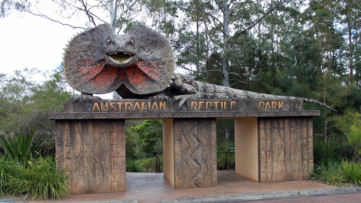 Сэндбординг на дюнах