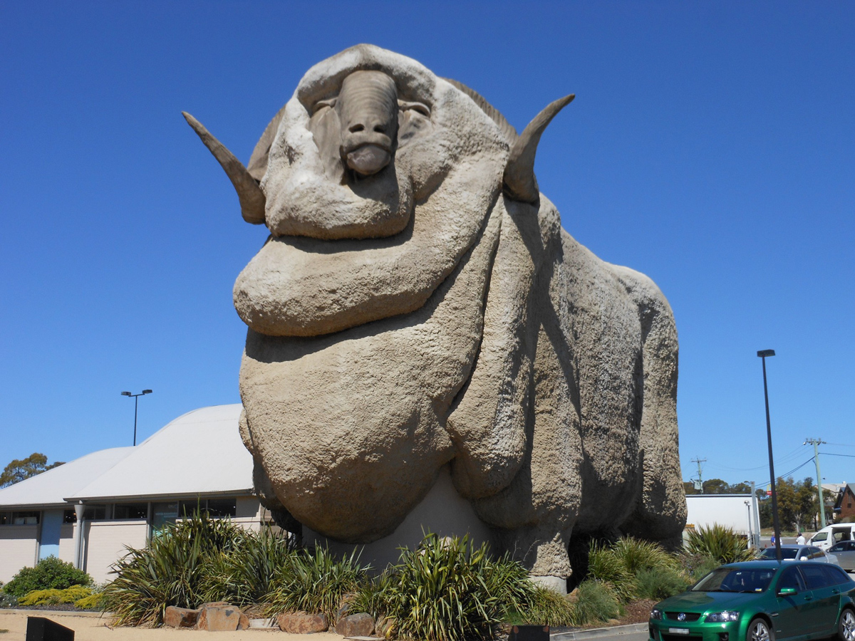 Лыжники и сноубордисты на склонах Perisher