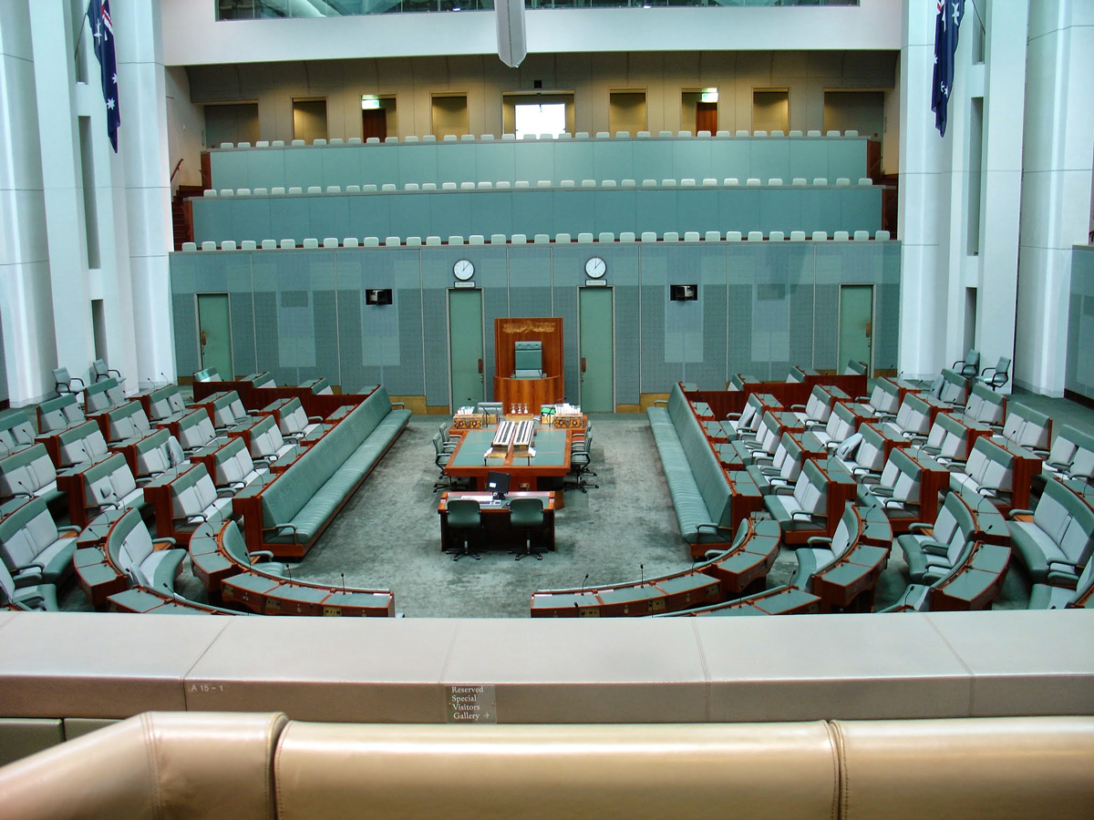 Дикие кенгуру в заповеднике Tidbinbilla