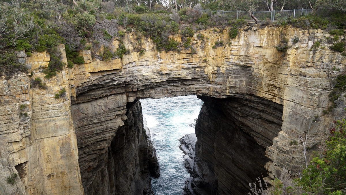 День 6 — Cataract Gorge в центре Лонсестона