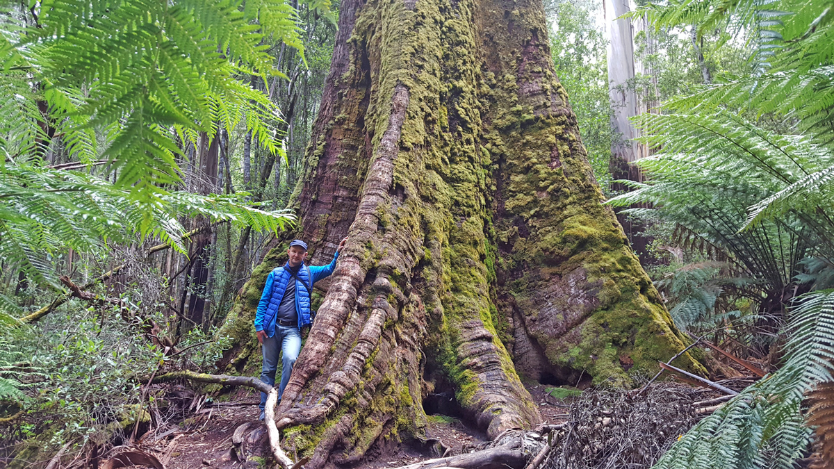 Водопады Рассел