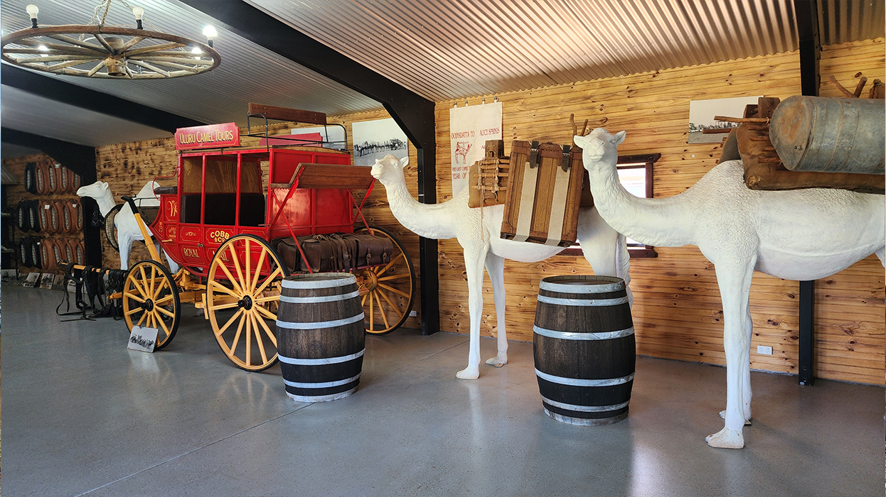 Верблюжий музей