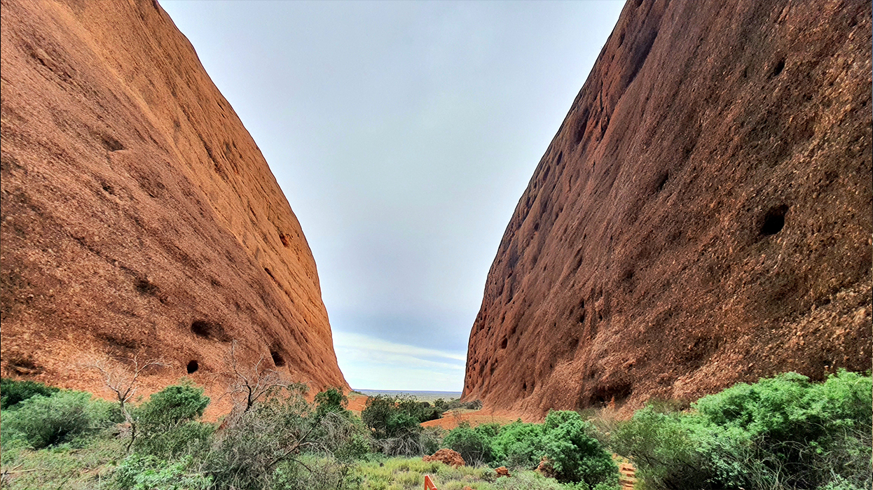 Красная пустыня
